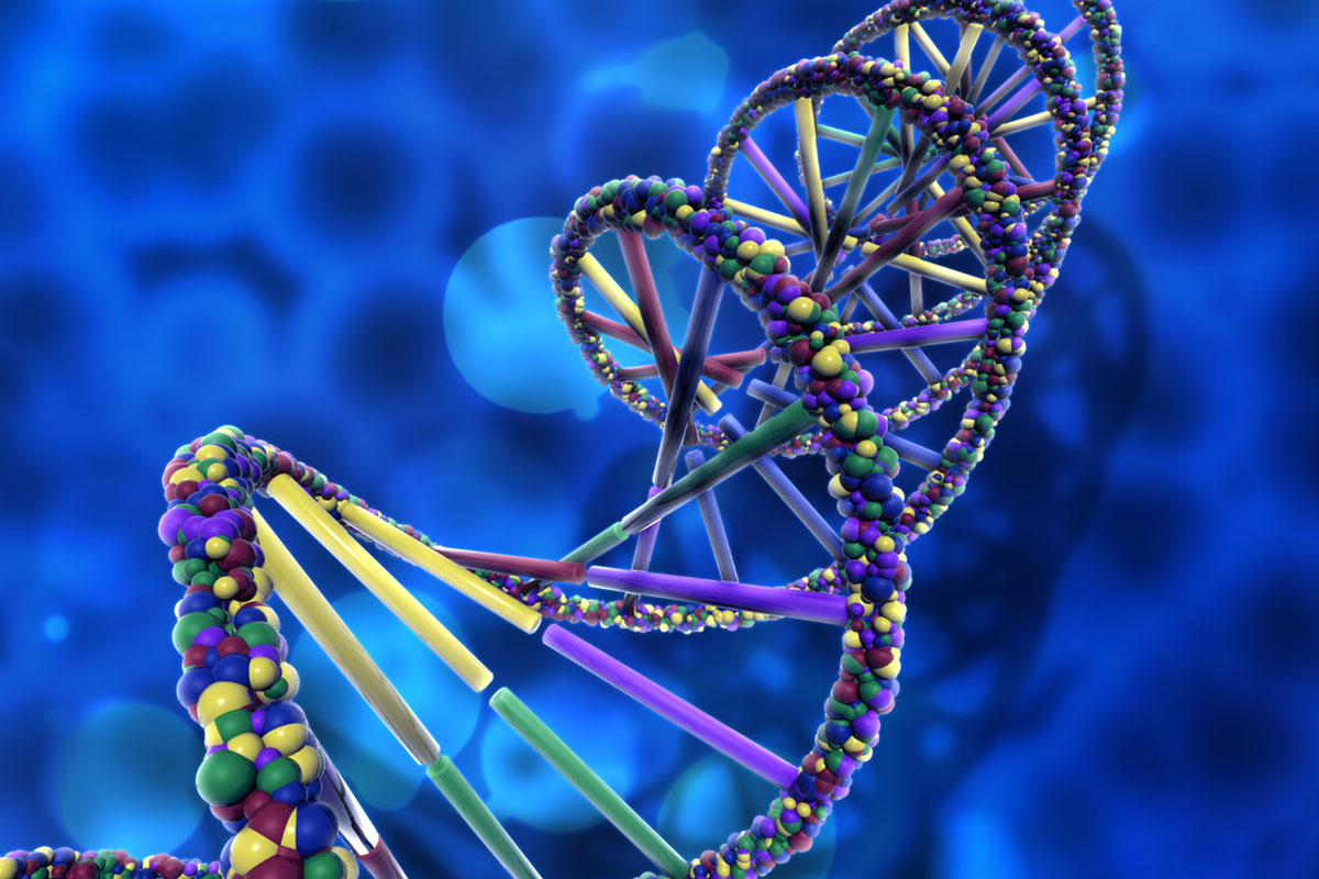 The Role of Genetics in Cancer: Are You at Risk?