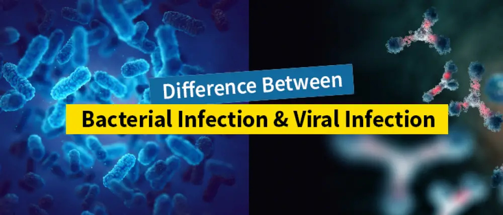 Bacterial vs. Viral Infections: Key Differences and Treatments